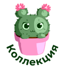 Коллекция Кактус