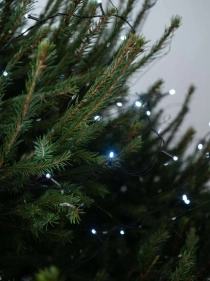 \фото\120132     1.jpg