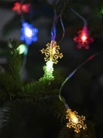 \фото\118777     1.jpg