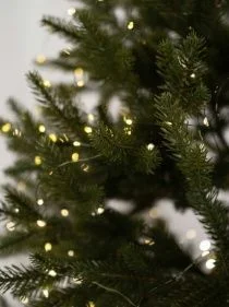 \фото\123556    1.jpg