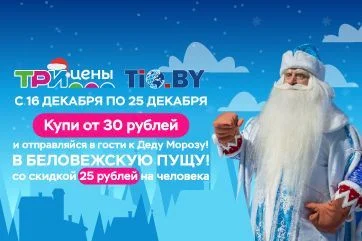 Поездка к Деду Морозу!