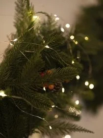 \фото\118778      1.jpg