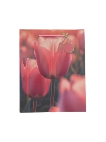 Пакет подарочный "Tulips", 26*32*10 см, артикул VA-782