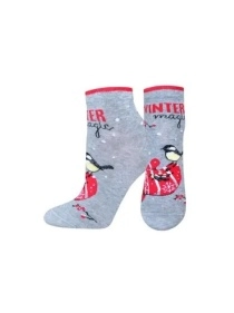 Носки жен. CLASSIC р.25, НГ в асс-те