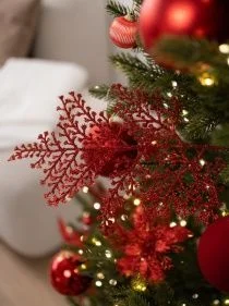 \фото\118677    1.jpg