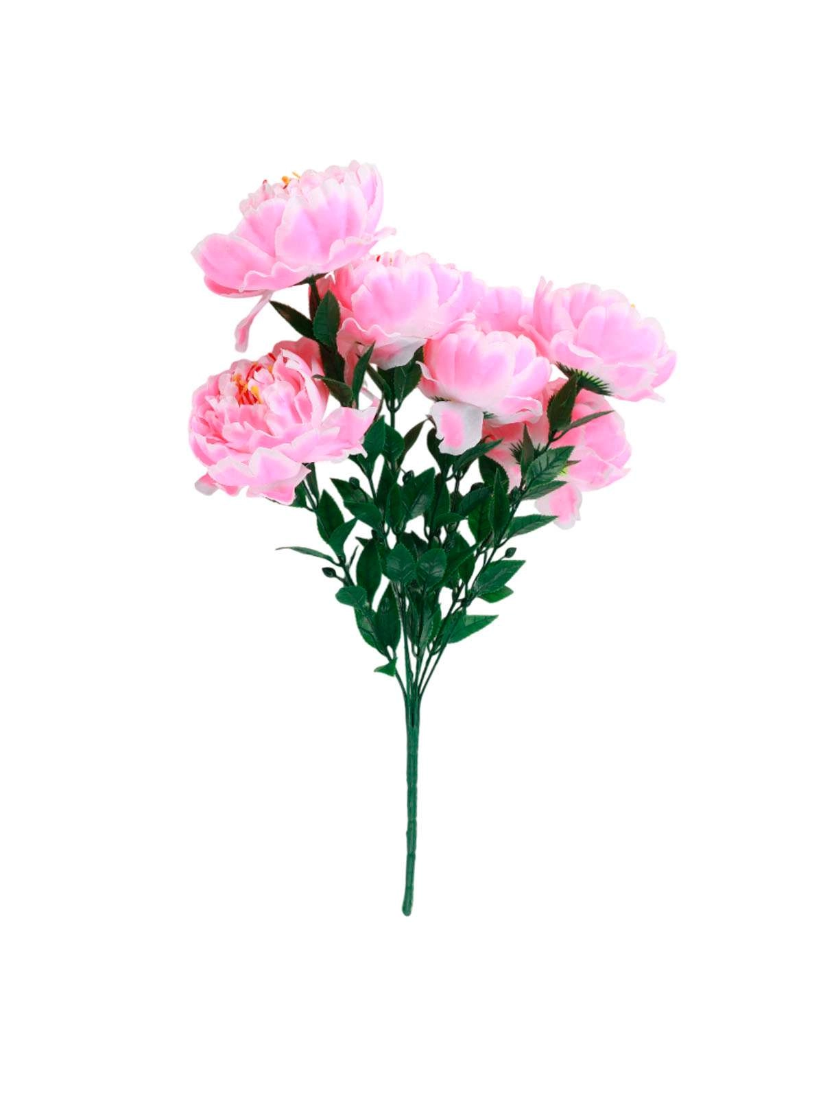 \фото\119889 2.jpg