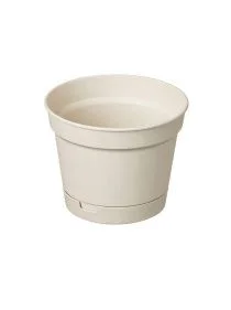 \фото\122055 1.jpg