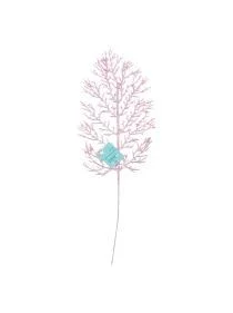 \фото\122550 1.jpg