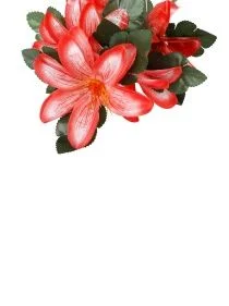 \фото\76724 (1).jpg