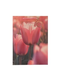 Пакет подарочный "Tulips", 30*41*11 см (VA-783)
