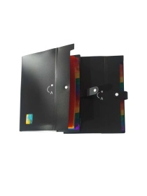 Папка для документов с делениями ТМ Penser, 13 делений, А4 (ML-2201)