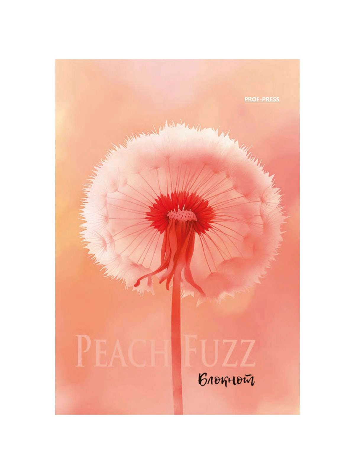 \фото\122772 8.jpg