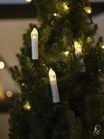 \фото\118780       1.jpg