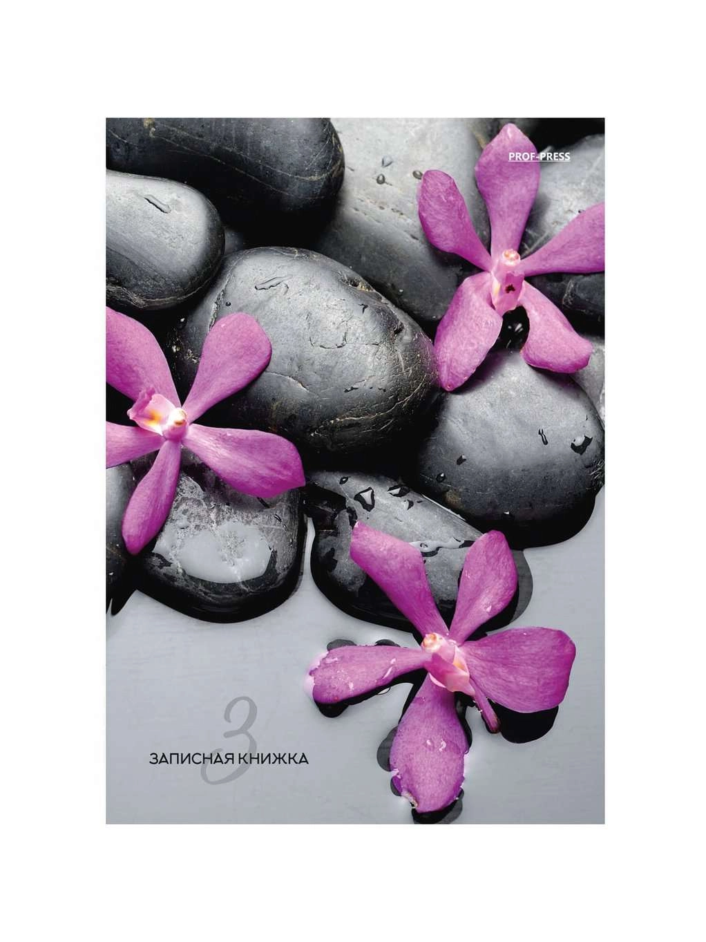 \фото\122778 2.jpg