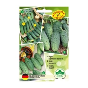 Набор семян Огурец Колорит F1, огурец Виват F1, огурец Паріжскій корнішон