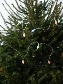 \фото\122612   1.jpg