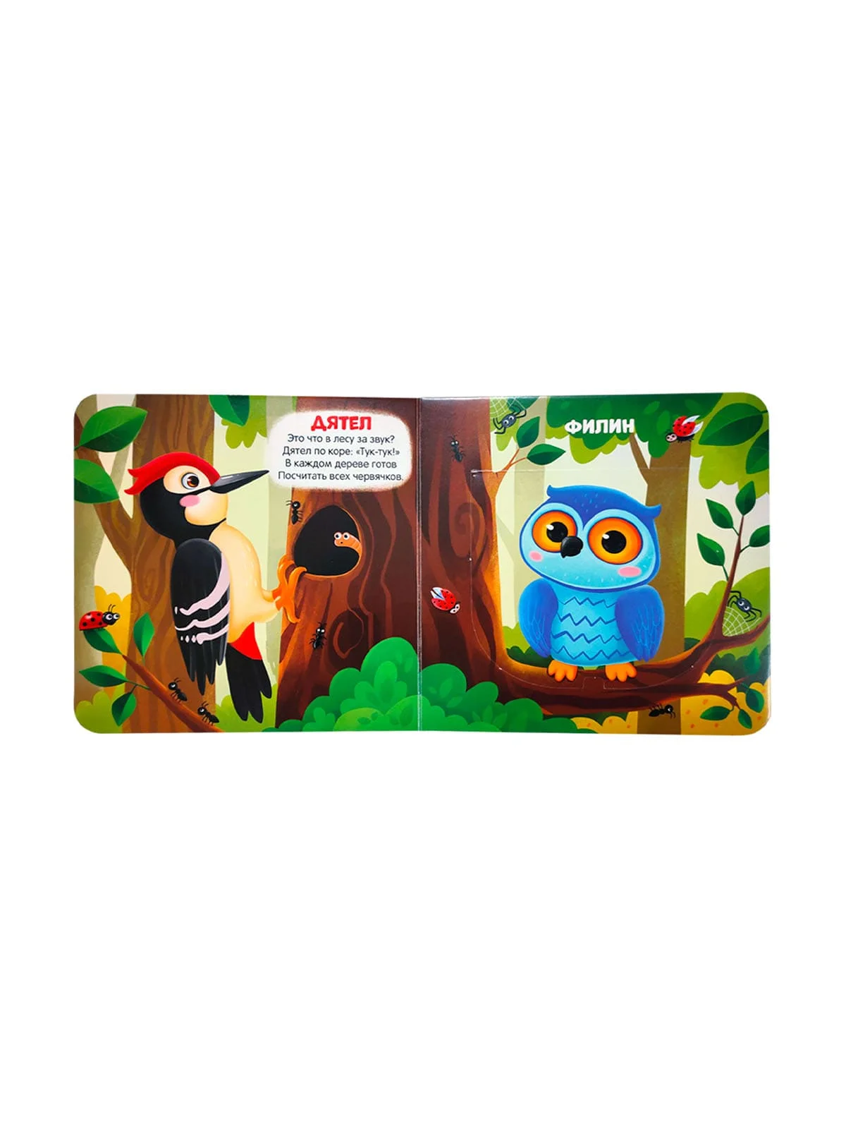 \фото\121306 93.jpg