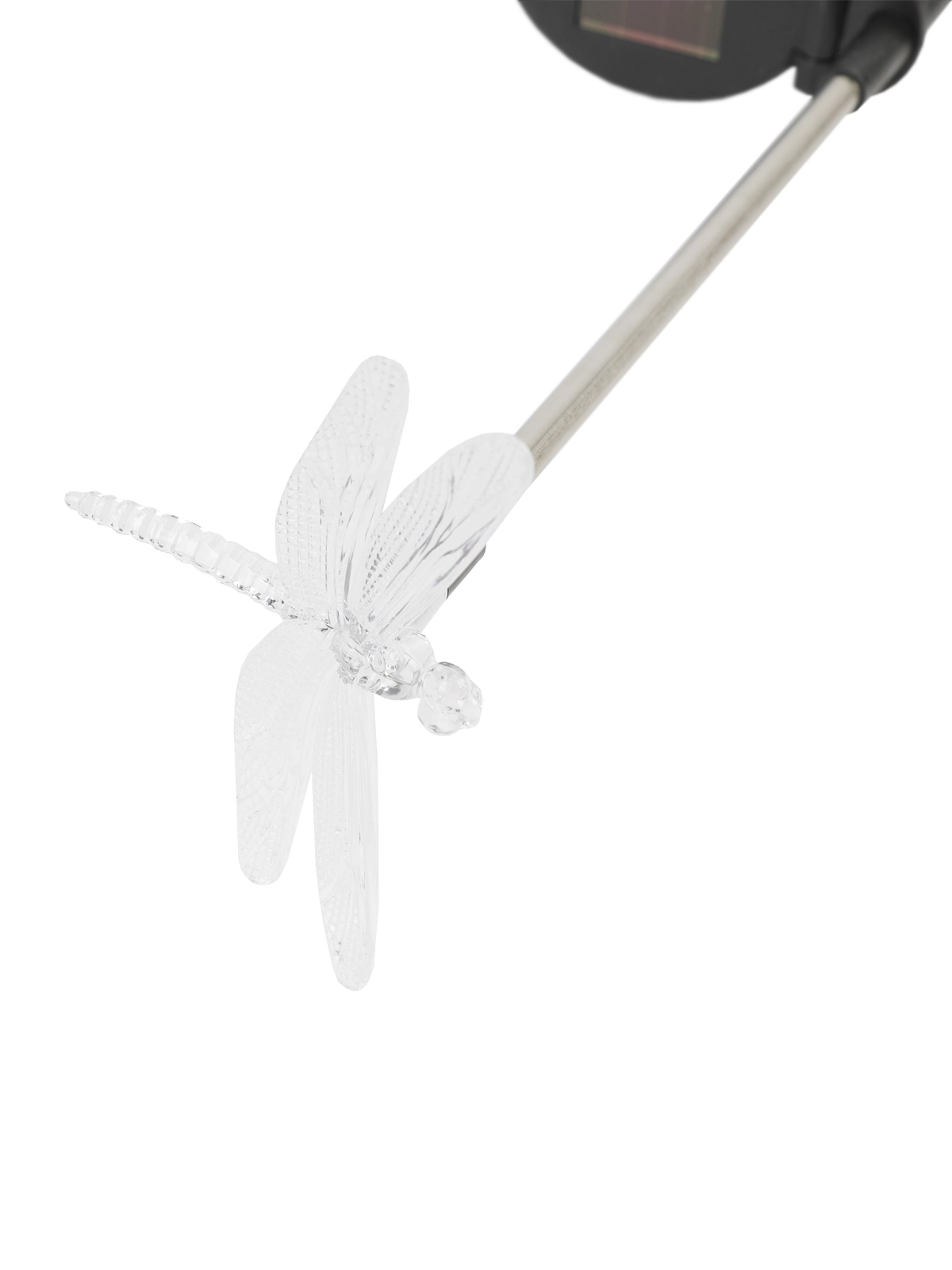 \фото\77214 (6).JPG