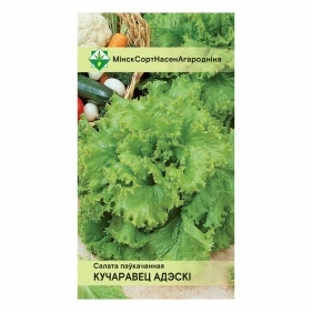 Салат Кучерявец Одесский полукочанный 0.5г