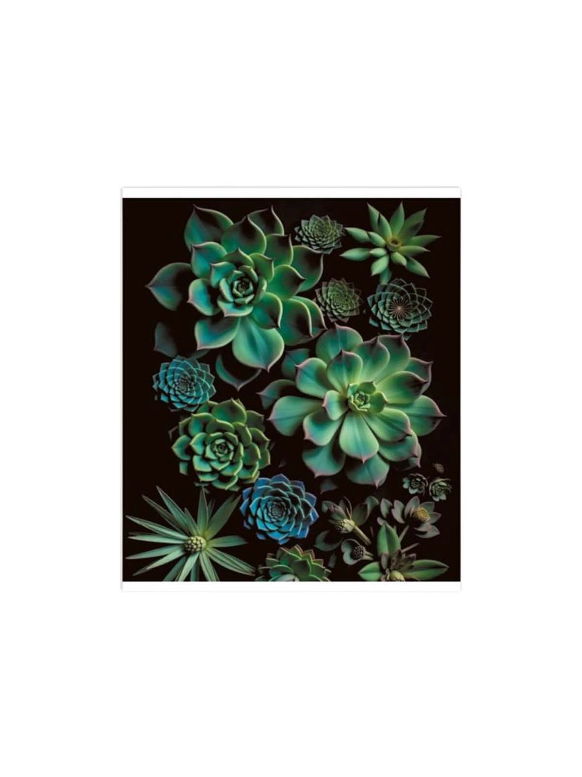 \фото\122372 3.jpg