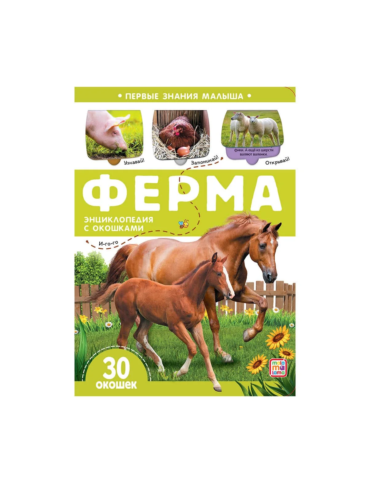 \фото\118440 2.jpg