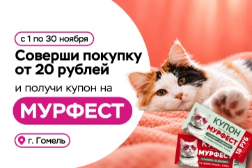За покупками в «Три цены» — и навстречу пушистым эмоциям!