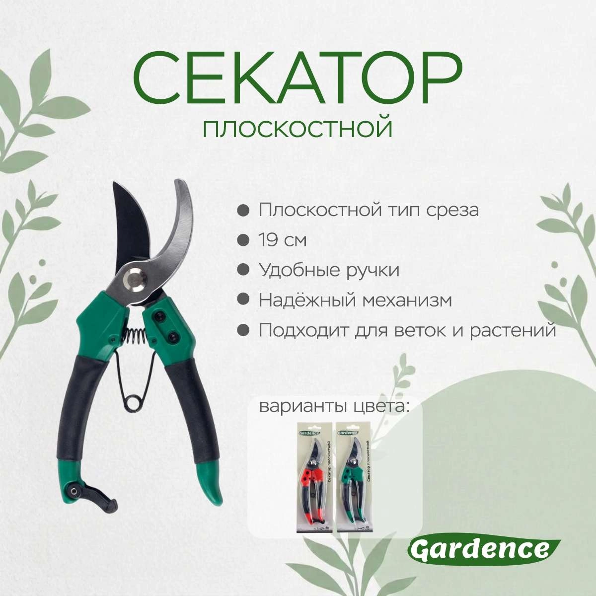 \фото\110399 2.jpg