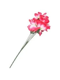 \фото\72281 (1).JPG