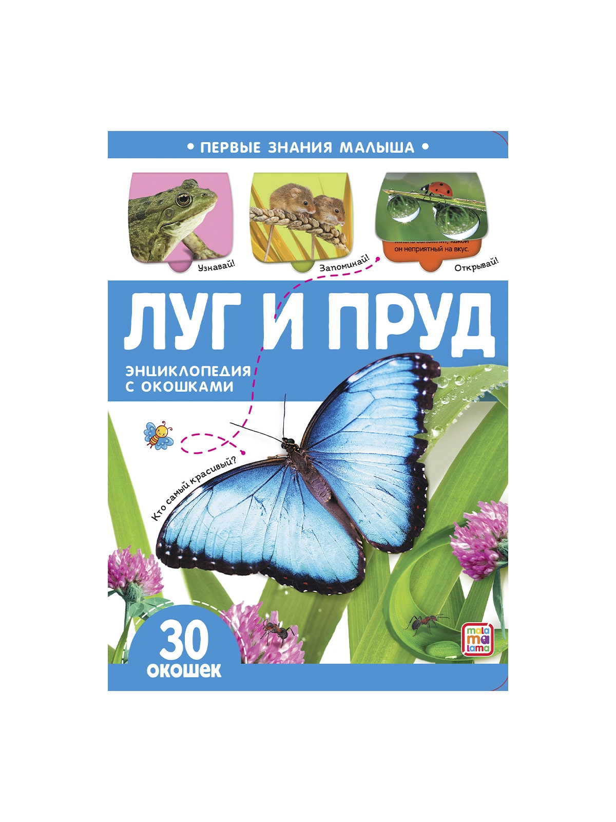 \фото\118440 5.jpg