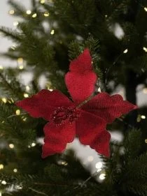 \фото\76488   1.jpg