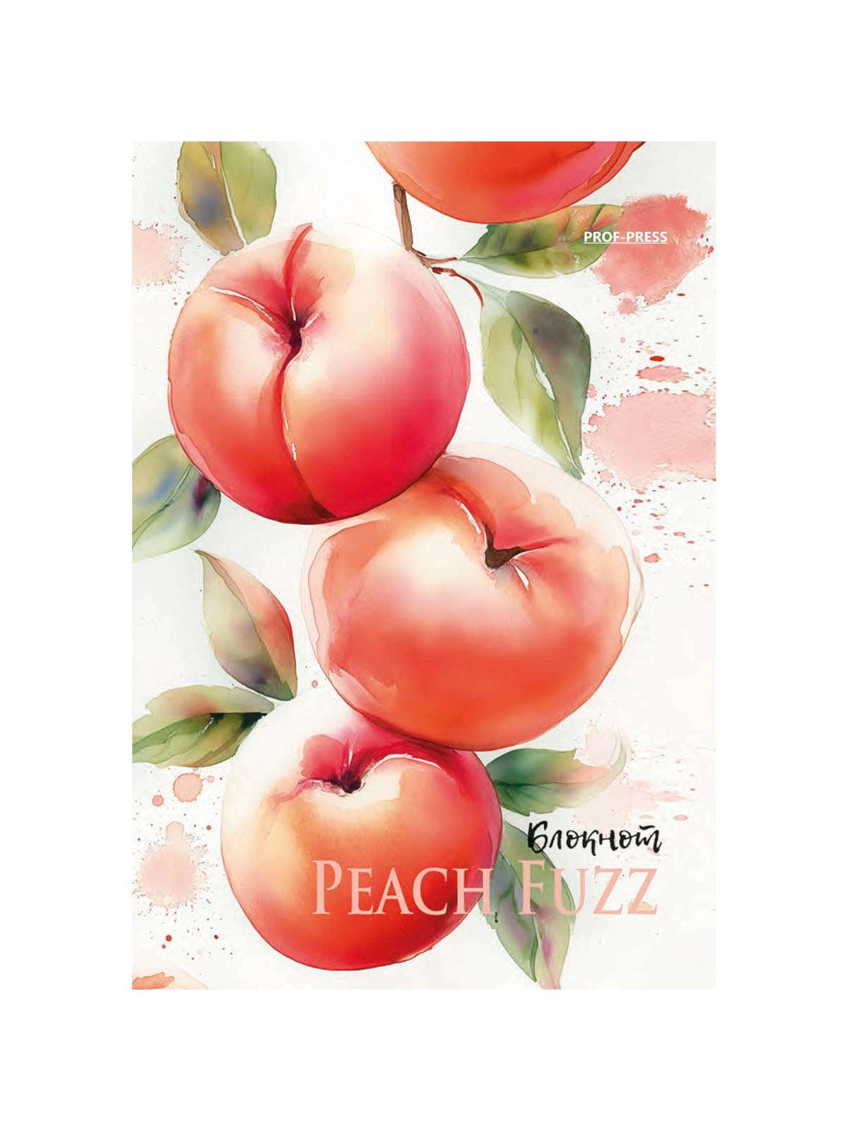 \фото\122772 5.jpg