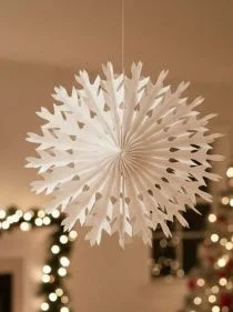 \фото\122581      1.jpg