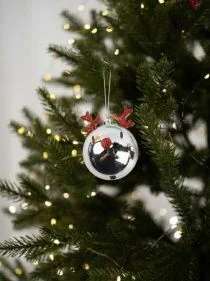 \фото\118672     1.jpg