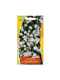 Качим изящный Снежный ковер 0,2г