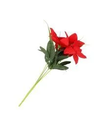 \фото\76731 (1).jpg