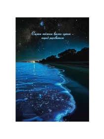 ЕЖЕДНЕВНИК А5, 128л.7БЦ, гл.ламин, цвет.мелов обл., недатиров. в асс-те ПХ, Е128-7359