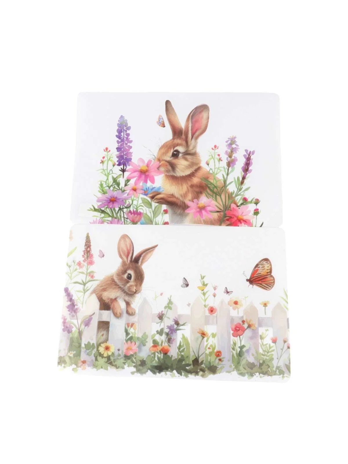 \фото\120122 2.jpg