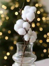 \фото\118840    1.jpg