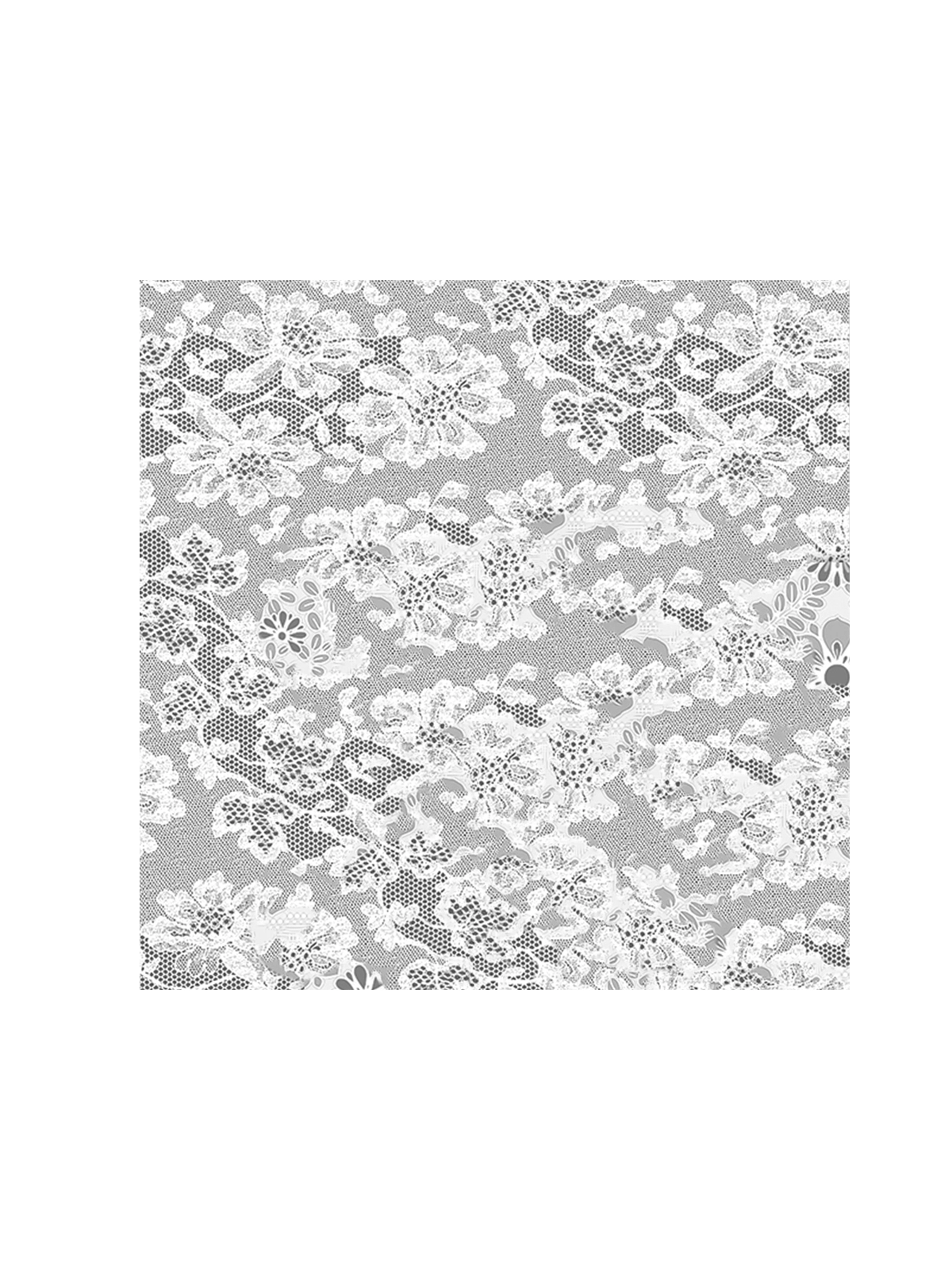 \фото\23769 2.jpg