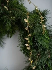 \фото\122614   1.jpg