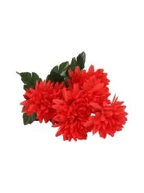 \фото\72287 (1).JPG