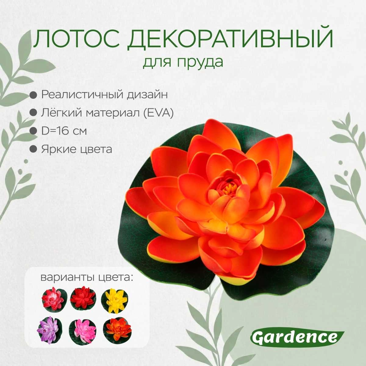 \фото\112012 2.jpg