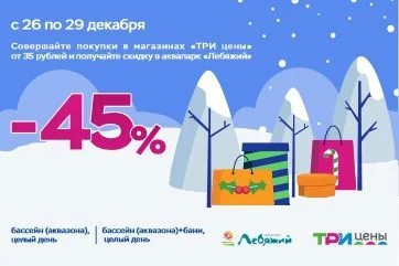 Купон на посещение аквапарка Лебяжий за покупку в Три цены