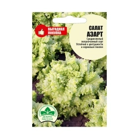 Салат Азарт