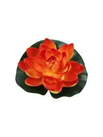 \фото\112012 1.jpg