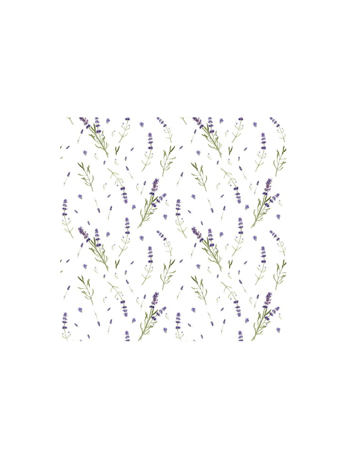 \фото\122029 2.jpg