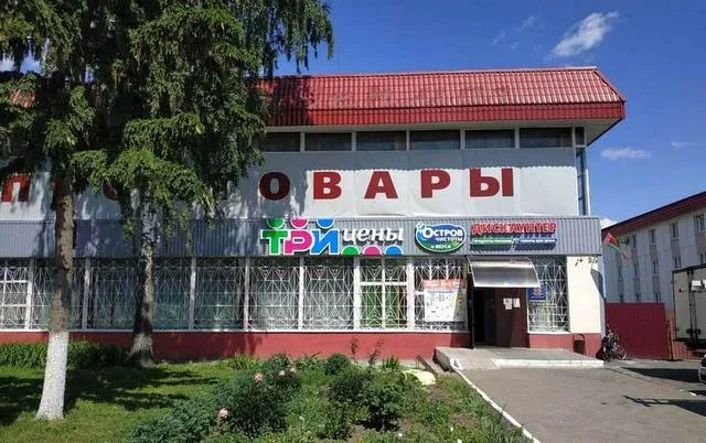 г.п. Брагин, ул. Советская, 12