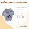 \фото\122689 2.jpg