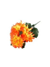 \фото\72287 (5).jpg