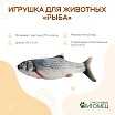 \фото\119007 2.jpg